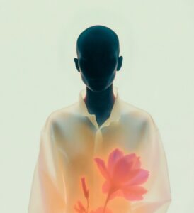 On Creating Content on Websites